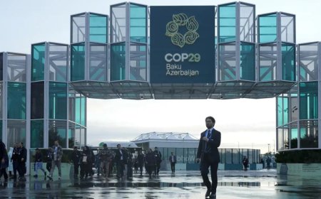 COP29: India calls out rich nations’ unwillingness to make progress on critical issues of climate finance and mitigation