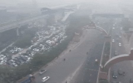 All schools to be shut, says CM Atishi; DU goes into online mode: Delhi pollution key points