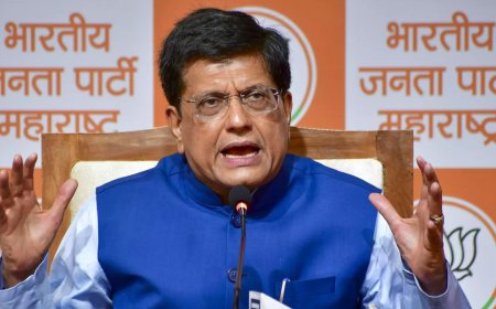 People have made up their mind for Mahayuti: Piyush Goyal
