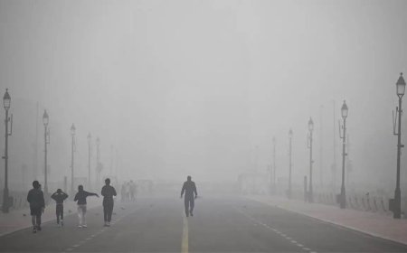 Delhi air pollution crisis discussed at COP29 sidelines
