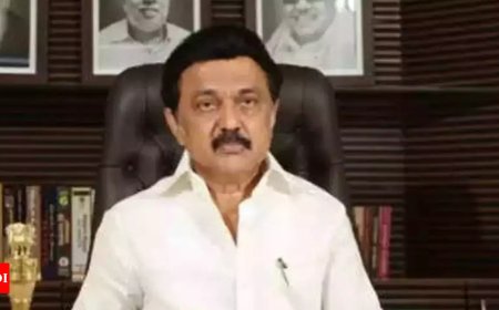 'Propaganda tool': Tamil Nadu CM targets LIC over Hindi 'imposition' on website, insurer blames technical snag