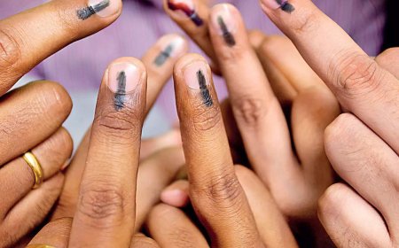 Maharashtra Assembly elections 2024: What’s open and closed on polling day
