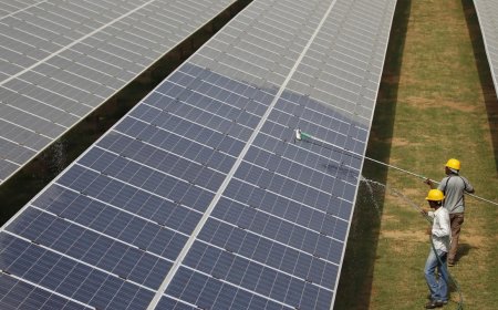 NTPC focusing on mega projects in quest for 60 GW solar dream