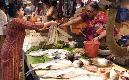 Myanmar hilsa gives Kolkata's fish lovers unseasonal surprise