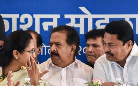 BJP: Supriya Sule, Nana Patole used 'illegal bitcoin activities' to fund poll campaign