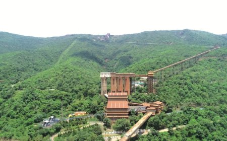 NMDC sets up dedicated vertical to drive innovation & transformation