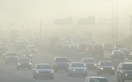 Pollution making North India weather more smog-prone: US study