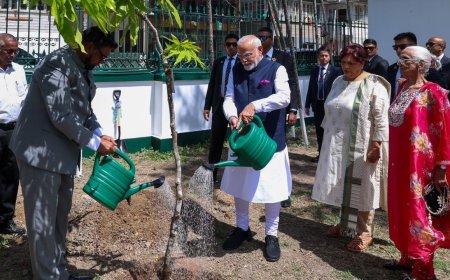 PM Modi's 'ek ped maa ke naam' initiative goes global