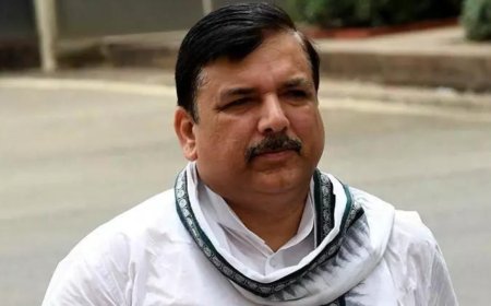 Adani group tried to enter Delhi's power sector but Kejriwal stopped them: AAP's Sanjay Singh