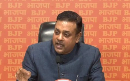 'Usual tactic to attack PM Modi': BJP slams Rahul Gandhi's reaction to US charges against Adani