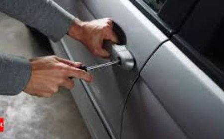 2 men who stole nearly 500 luxury cars arrested