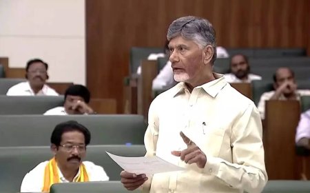 'Will act after studying US indictment': TDP's Naidu on alleged bribery scandal involving Adani, YSRCP