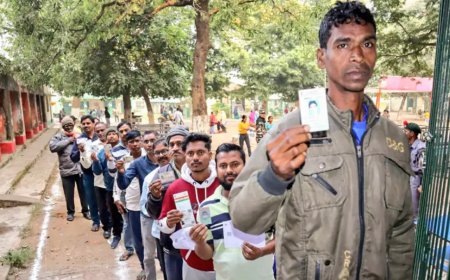 Rajmahal election results 2024: JMM's Md Tajuddin, BJP's Anant Kumar Ojha in fray