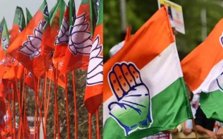 Vijaypur bypolls election 2024: BJP's Ramniwas Rawat against Congress' Mukesh Malhotra