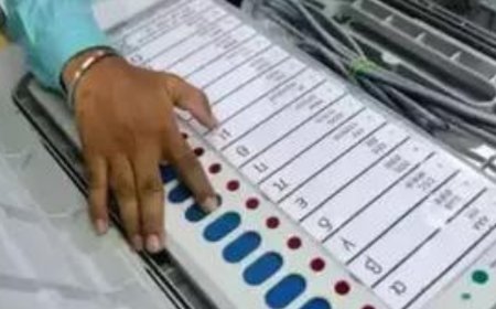 Vasai election result 2024: BJP's Sneha Dube Pandit leading over BVA's  Hitendra Vishnu Thakur