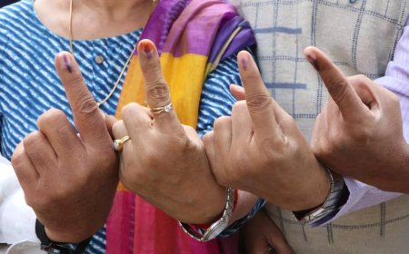 Badnera election results: Ravi Rana, husband of BJP leader Navneet Rana, ahead by over 54,000 votes