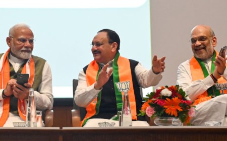 How BJP bounced back from Lok Sabha setback to achieve historic election wins