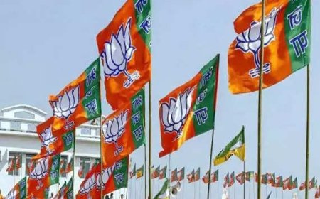 BJP retains stronghold in Nashik city, wins all 3 seats