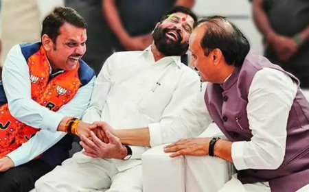 Maharashtra election results: No CM's race in Mahayuti, top ministers will take a call, says Devendra Fadnavis