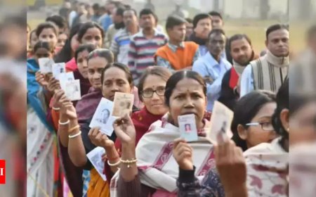 Assembly bypolls in 15 states: BJP, allies bag over half the seats, TMC sweeps West Bengal
