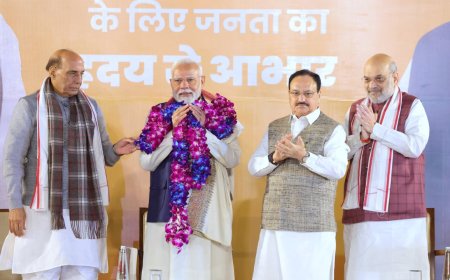 Election results: BJP's core agenda gets a boost with heavy-Mahayuti win