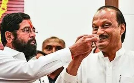 Maharashtra elections: Eknath Shinde credits 'bahin, bhau, farmers' for landslide victory