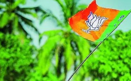 2 Mahayuti 'rebel rousers' win, 2 scuttle allies' hopes