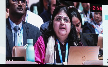 COP29: India champions the cause of global south in a historic move of rejecting the climate finance outcome