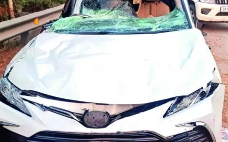 Expressway accident kills daughter of Vrindavan Prem Mandir founder Shri Kripalu Maharaj