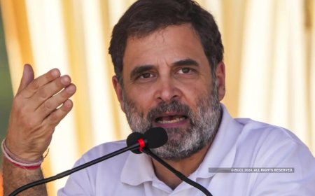 'Biased attitude of state govt unfortunate': Rahul Gandhi on Sambhal violence