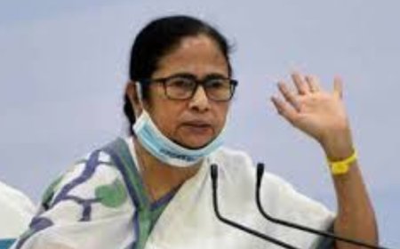 Mamata Banerjee elevates veterans in TMC, entrusts Abhishek with key national role
