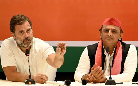 Rahul Gandhi, Akhilesh Yadav slam BJP over Sambhal violence, blame govt