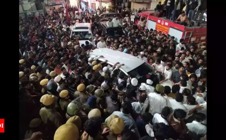 What led to the Mewar Royal family clash in Udaipur’s City Palace?