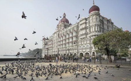 26/11 terror attack: Survivor, who identified Ajmal Kasab during trial, shares horrors of that night