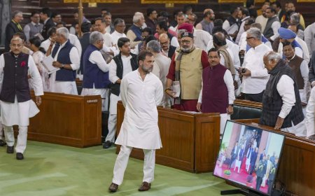 Samvidhan Diwas in Parliament: BJP posts clips, accuses Rahul Gandhi of not greeting President Murmu at meet