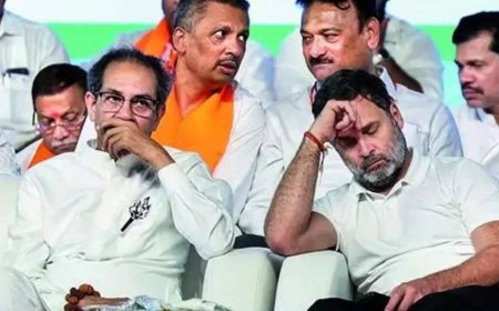 Sena(UBT) mouthpiece dubs Mahayuti victory 'lucky draw', says 'EVM hai toh mumkin hai'