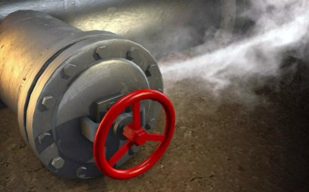 1 dead, 9 taken ill as toxic gas leaks in Andhra Pradesh's pharma company