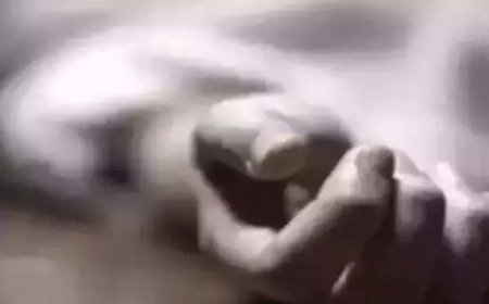 Hired for surrogacy, woman's mysterious fall from 9th floor