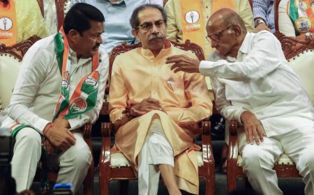 After 'Maha' drubbing, Sena (UBT) leader hints at party going solo in future polls