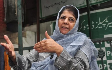 ‘Disheartening’ to see country’s largest minority facing ‘unprecedented threats’: Mehbooba Mufti