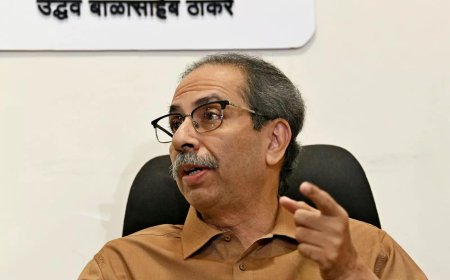 Go solo in local body polls, Shiv Sena (UBT) leaders tell Uddhav Thackeray after Maharashtra assembly polls setback