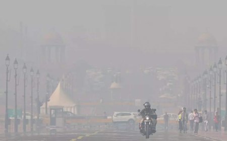 Delhi air pollution: SC flags 'abject failure' in GRAP-4 implementation, warns against 'satellite scam'