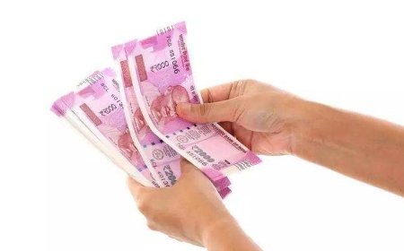 Rs 100 crore assets in Nagaland crypto scam linked to Chinese seized