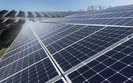 May get Rs 2,800 crore jolt if SECI pact is junked: Andhra Pradesh minister