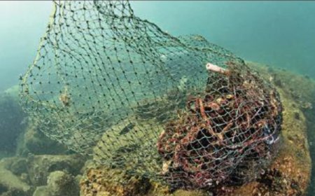 250kg of debris cleared from Sindhudurg reefs