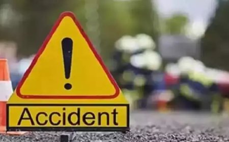At least five dead, 15 injured after bus falls into gorge near West Bengal-Sikkim border