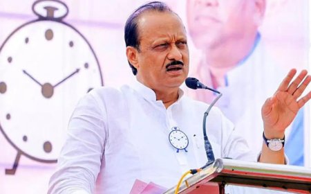 'CM face to be from BJP': Ajit Pawar reveals what went inside Mahayuti meet at Amit Shah's Delhi residence