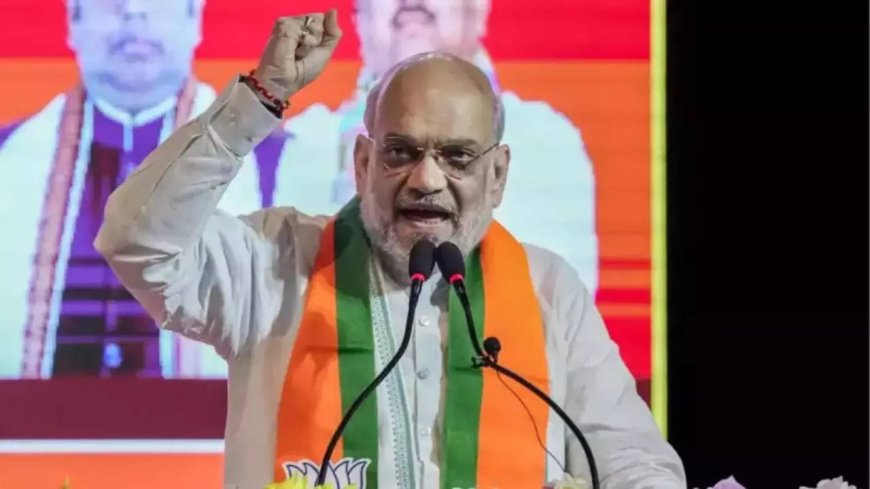 Amit Shah calls for long-term policy to strengthen Hindi