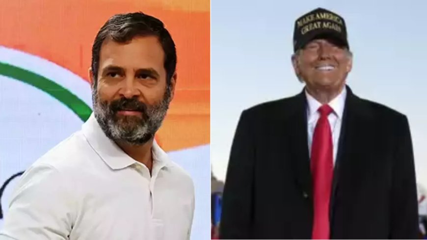 Rahul Gandhi congratulates Donald Trump on election win, wishes Kamala Harris 'all the best'