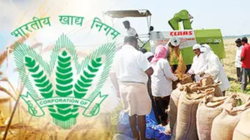 Government to pump Rs 10k cr into FCI to help with working capital need